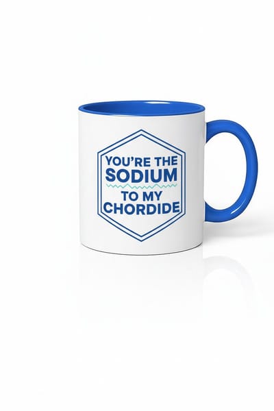 Mok You're The Sodium To My Chordide | Grappig Chemie Liefdes Cadeau | Scheikunde Koffie Beker