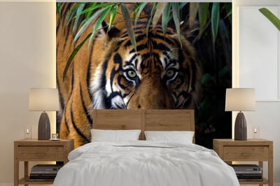 Behang - Fotobehang Tijger - Bladeren - Jungle - Dieren - Wild - Breedte 350 cm x hoogte 350 cm