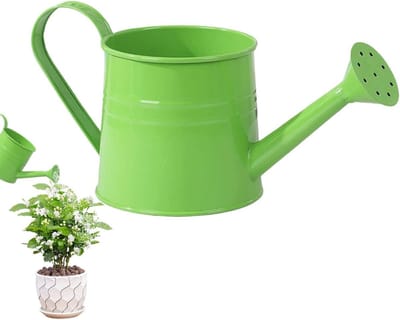 Gieter Kamerplanten - Waterkannetje Planten - Planten Water Geven - IJzeren Constructie - 1 Liter - Groen