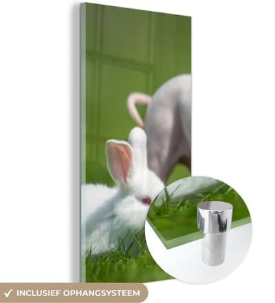 MuchoWow® Glasschilderij 20x40 cm - Schilderij acrylglas - Biggetje - Konijn - Dieren - Foto op glas - Schilderijen