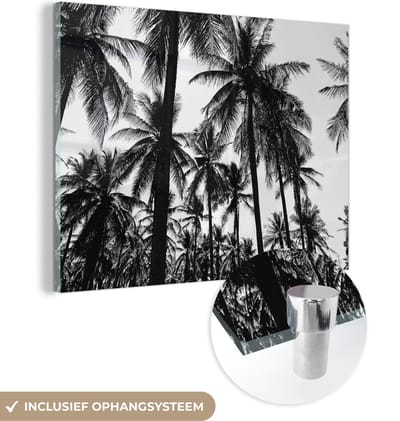 MuchoWow® Glasschilderij 160x120 cm - Schilderij acrylglas - Palmbomen - Tropisch - Zomer - Foto op glas - Schilderijen