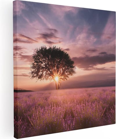 Artaza Canvas Schilderij Lavendelveld - 80x80 cm - Wanddecoratie Boom - Muurdecoratie Zonsondergang - Schilderijen Op Canvas Bloemen