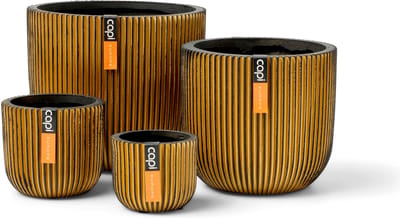 Capi Europe - Mix doos Pot bol Groove goud - Goud - Bloempotten voor binnen - 5 jaar garantie - Cadeauset