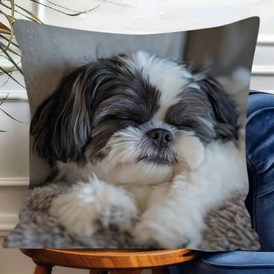 Shih Tzu Kussensloop, Schattige Slapende Hond Kussenhoes, Huisdecoratie voor Huisdierenliefhebbers, Pluizig Dier Accent, Gezellig Cadeau 50x50cm