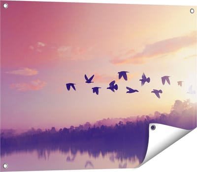 Gards Tuinposter Silhouet Vogels tijdens Zonsondergang - 80x60 cm - Tuindoek - Tuindecoratie - Wanddecoratie buiten - Tuinschilderij