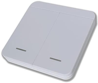 Draadloze 2-kanaals Radio Knop 433 MHz voor Garagedeur - Binnen Drukknop met LED Feedback