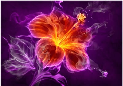 Fotobehang - Fiery flower in purple.