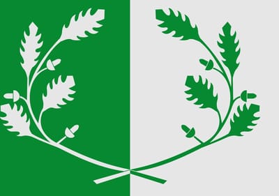 Vlag Eeklo 100x150cm