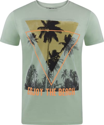 riverso Heren T-Shirt RIVLukas regular fit Groen S Ronde Hals Volwassenen - gemaakt van 100% katoen
