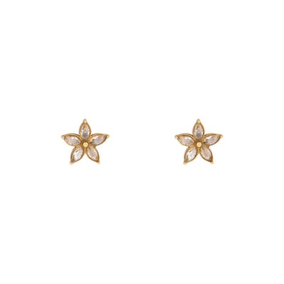 Essentialistics - Stud oorknopjes steentjes bloem - Nikkelvrij - Goudkleur - Stainless steel (verkleurt niet) - Geleverd met achterkantjes