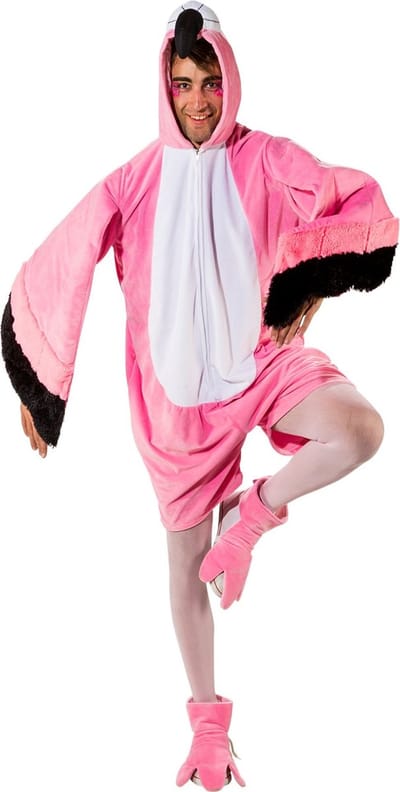 Flamingo Pak Kort