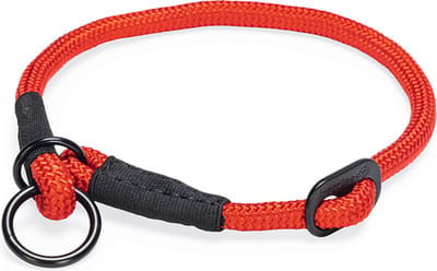 Beeztees Premium Parinca - Hondenhalsband - Rond - Nylon - Rood - 45x1 c