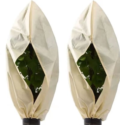 Plantenhoes - 180 x 120 cm - Vorstwerende plantenhoes - Scheurvast - Herbruikbaar - Met rits - Winterbescherming voor planten - Vorstbescherming voor palmbomen - 2 stuks
