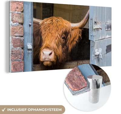 MuchoWow® Glasschilderij 40x20 cm - Schilderij acrylglas - Schotse Hooglander - Boerderij - Schuur - Foto op glas - Schilderijen