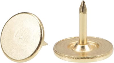 100x Stevige Platte Kop Spijkers - Decoratieve Duimspijkers voor Prikbord, Meubels en Wanddecoratie