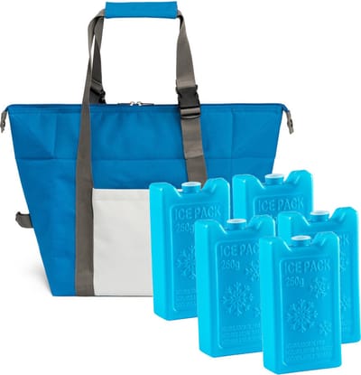 Grote isolatie koeltas blauw 38 x 33 x 18 cm met 5x stuks blauwe koelelementen van 250 ML