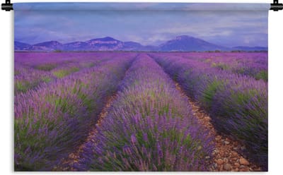 Wandkleed De lavendel - Lavendelvelden tijdens een schemering Wandkleed katoen 120x80 cm - Wandtapijt met foto