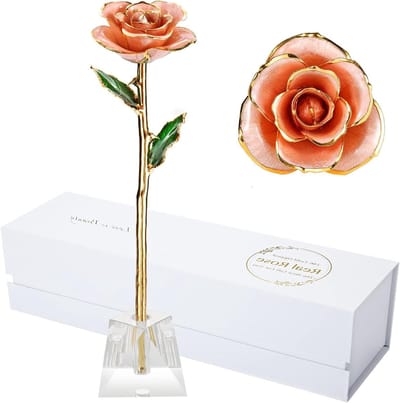 Gouden Roos - Eeuwige Bloem - Cadeau Geven - Echte Roos Verguld - 30 cm - Roze
