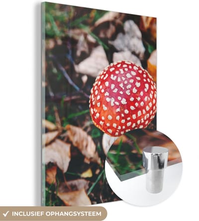 MuchoWow® Glasschilderij 30x40 cm - Schilderij acrylglas - Herfst - Paddenstoel - Bladeren - Natuur - Foto op glas - Schilderijen