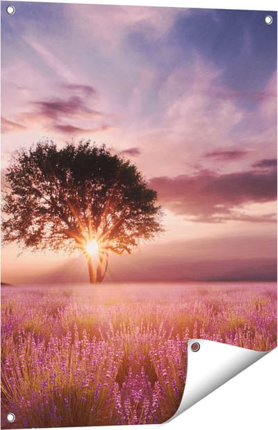 Gards Tuinposter Bloemenveld met Lavendel bij Zonsondergang - 60x80 cm - Tuindoek - Tuindecoratie - Wanddecoratie buiten - Tuinschilderij
