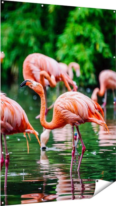 Gards Tuinposter Kudde Flamingo's in de Jungle in het Water - 120x180 cm - Tuindoek - Tuindecoratie - Wanddecoratie buiten - Tuinschilderij