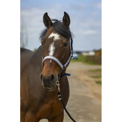 Nylon ruitjes halster Equithème