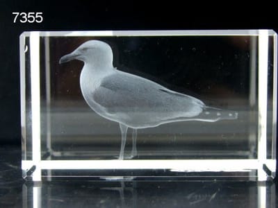 3D Lasergravure Zilvermeeuw in Glasblokje – 8 x 5 x 5 cm – Inclusief Geschenkverpakking