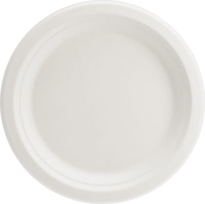 Eco bordjes 17cm doorsnee wit 6 st. - disposable bordjes van suikerriet - Go Green keurmerk - feest/verjaardag/BBQ