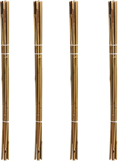 Pro Garden Plantenstokken - 40x - bamboe - H79 cm - plantensteun - bamboestokken/tonkinstokken