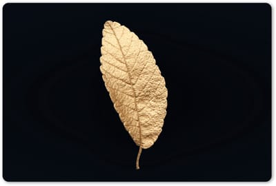 Placemats 45x30 cm - Placemat kunststof - 1 stuk - Black en gold - Bladeren - Zwart - Planten - Luxe - Borden onderleggers - Decoratie voor op tafel - Keuken tafeldecoratie accessoires - Vinyl onderlegger - Tafelversiering