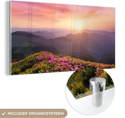 MuchoWow® Glasschilderij 40x20 cm - Schilderij acrylglas - Bloemen - Berg - Zonsondergang - Landschap - Foto op glas - Schilderijen