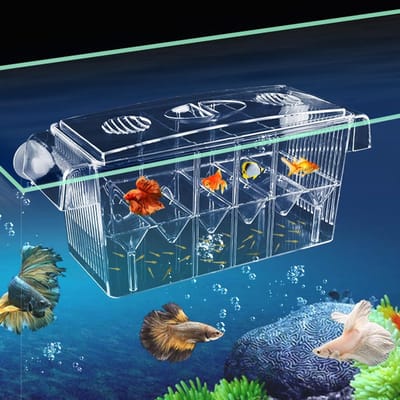 Opslagdoos voor Kleine Aquariums - Transparante Bodem voor Visnesten, Dubbele Laag en Incubatie voor Kweek en Verzorging van Vissen