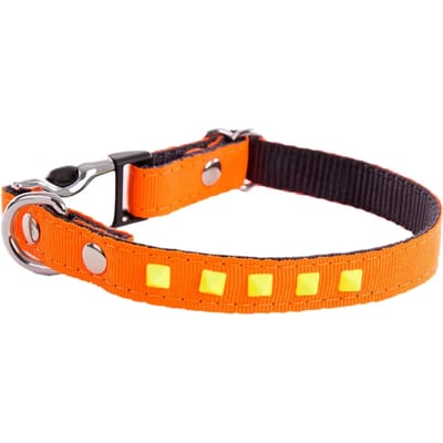 Hondenhalsband Martin Sellier Fluo