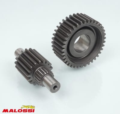 malossi transmissie achteras voor honda 250 foresight scooter na 1998 67 9983 / htq tandwielen 17x37 nieuw