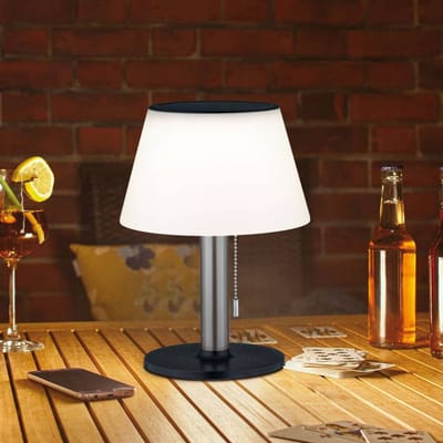Paulmann 94309 4000870943090 Tafellamp op zonne-energie 0.8 W Warmwit RVS