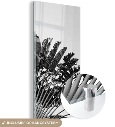 MuchoWow® Glasschilderij 60x120 cm - Schilderij acrylglas - Palmblad - Tropisch - Zomer - Foto op glas - Schilderijen