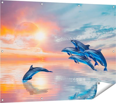 Gards Tuinposter Groep Dolfijnen Springen uit het Water - 120x90 cm - Tuindoek - Tuindecoratie - Wanddecoratie buiten - Tuinschilderij
