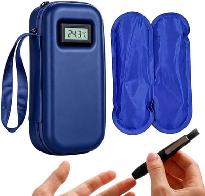 Draagbare koelbox - Waterdichte container - Buitenactiviteiten - Temperatuurweergave - 22 x 10 x 6 cm - Blauw