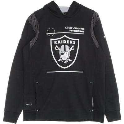 Herenhoodie Nfl Therma Hoodie Po Lasrai