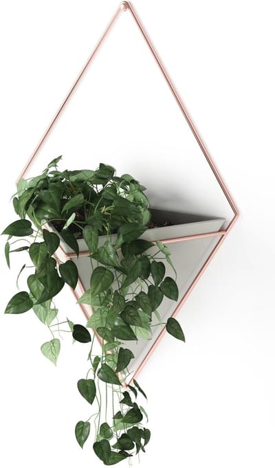 Geometrische Wandvaas en Plantenbak - Modern Beton/Koper Voor Kamerplanten en Cactussen
