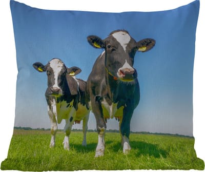 Tuinkussen - Koeien - Weiland - Gras - Dieren - Boerderij - 40x40 cm - Weerbestendig