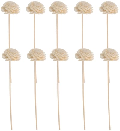 Dailygoods- Diffuser Rotan Stokken 10 Stuks - Aromatherapie - Geursticks - Vervangingsset - Natuurlijke Geurverspreider - Langdurige Verspreiding - Geurstokjes