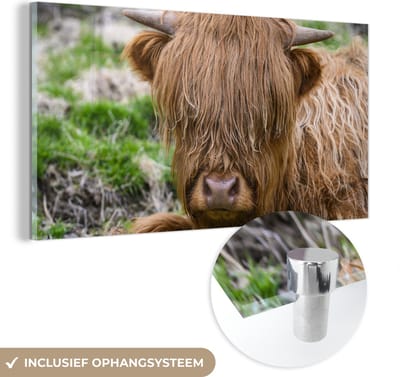 MuchoWow® Glasschilderij 40x20 cm - Schilderij acrylglas - Schotse Hooglander - Hooi - Gras - Foto op glas - Schilderijen
