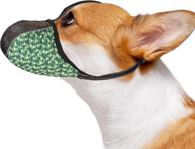 Verstelbare Hondenmuilkorf voor Kleine Honden - Anti-Bijten, Blaffen en Kauwen - Ademend en Reflecterend