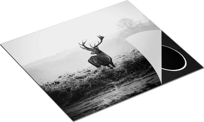 Chefcare Inductie Beschermer Hert in de Wei tijdens de Zonsopkomst - Zwart Wit - 60x50 cm - Afdekplaat Inductie - Kookplaat Beschermer - Inductie Mat
