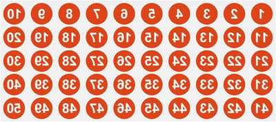 Nummeretiketten 1-50, rond en zelfklevend van vinyl voor voorraadclassificatie en organisatie van opbergdozen, rood en duurzaam