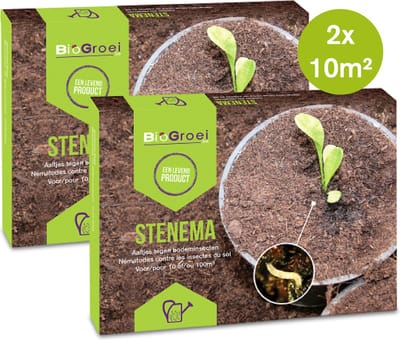 Voordeelpakket - 2x Aaltjes tegen rouwvliegjes 10m2 - 2x Stenema 10m2 - zwarte vliegjes bij kamerplanten bestrijden