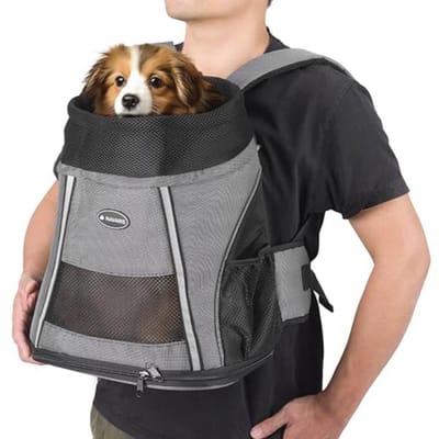 Honden- en Kattenrugzak - Dieren draagtas met dikke bodem en versterkte rug - 37 x 33 x 24 cm - Draagcapaciteit tot 7 kg - Grijs