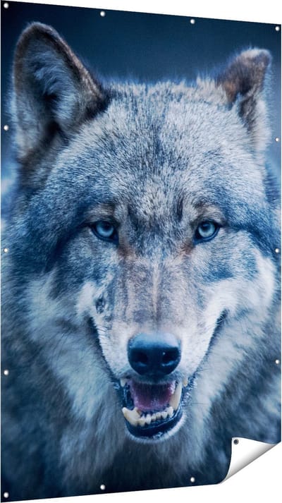 Gards Tuinposter Wolvenkop met Blauwe Ogen - Wolf - 120x180 cm - Tuindoek - Tuindecoratie - Wanddecoratie buiten - Tuinschilderij