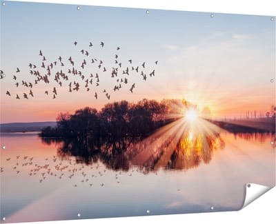 Gards Tuinposter Groep Vogels Boven de Meer met Zonsondergang - 180x120 cm - Tuindoek - Tuindecoratie - Wanddecoratie buiten - Tuinschilderij